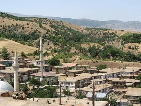 Doğanyol Gökçe Köyü Resimleri 1