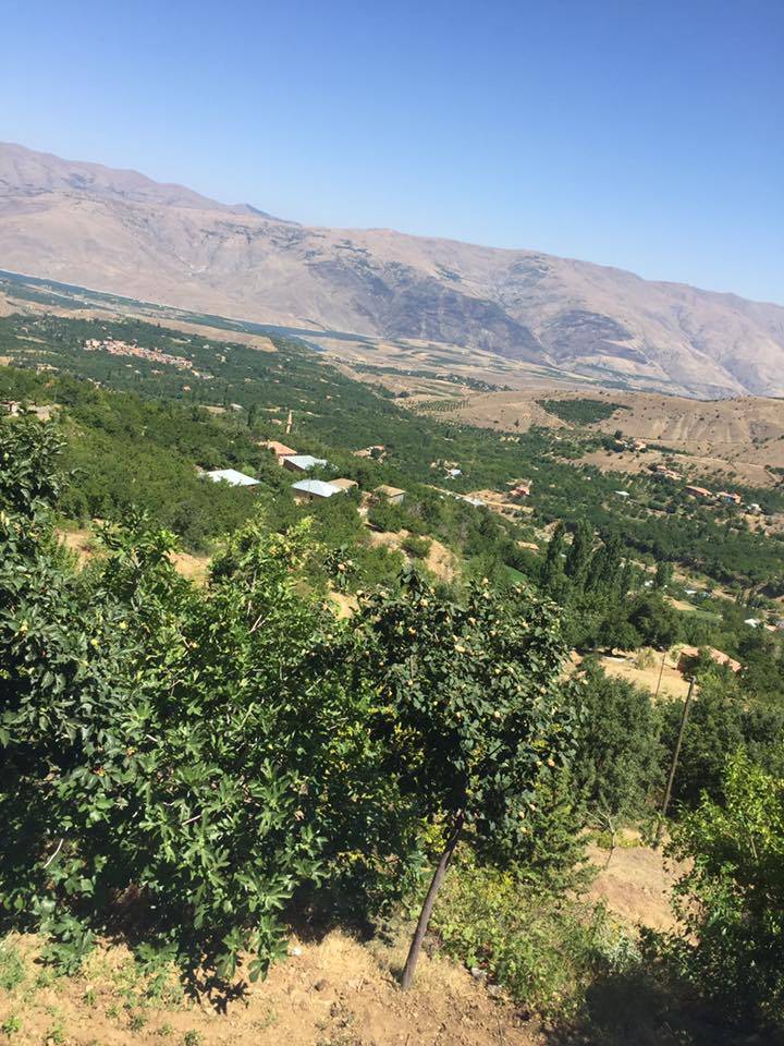 Doğanyol Gümüşsu Köyü Resimleri 5