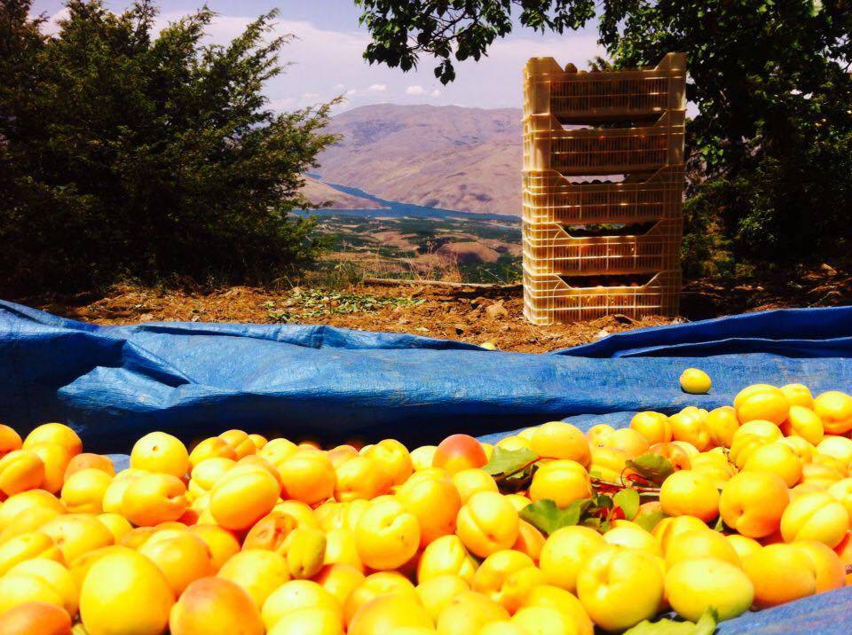 Doğanyol Gümüşsu Köyü Resimleri 7