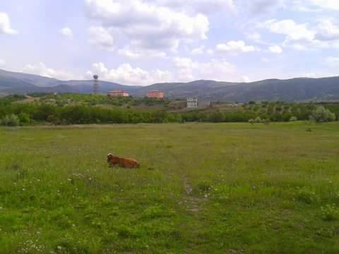 Doğanyol Koldere Köyü Resimleri 10