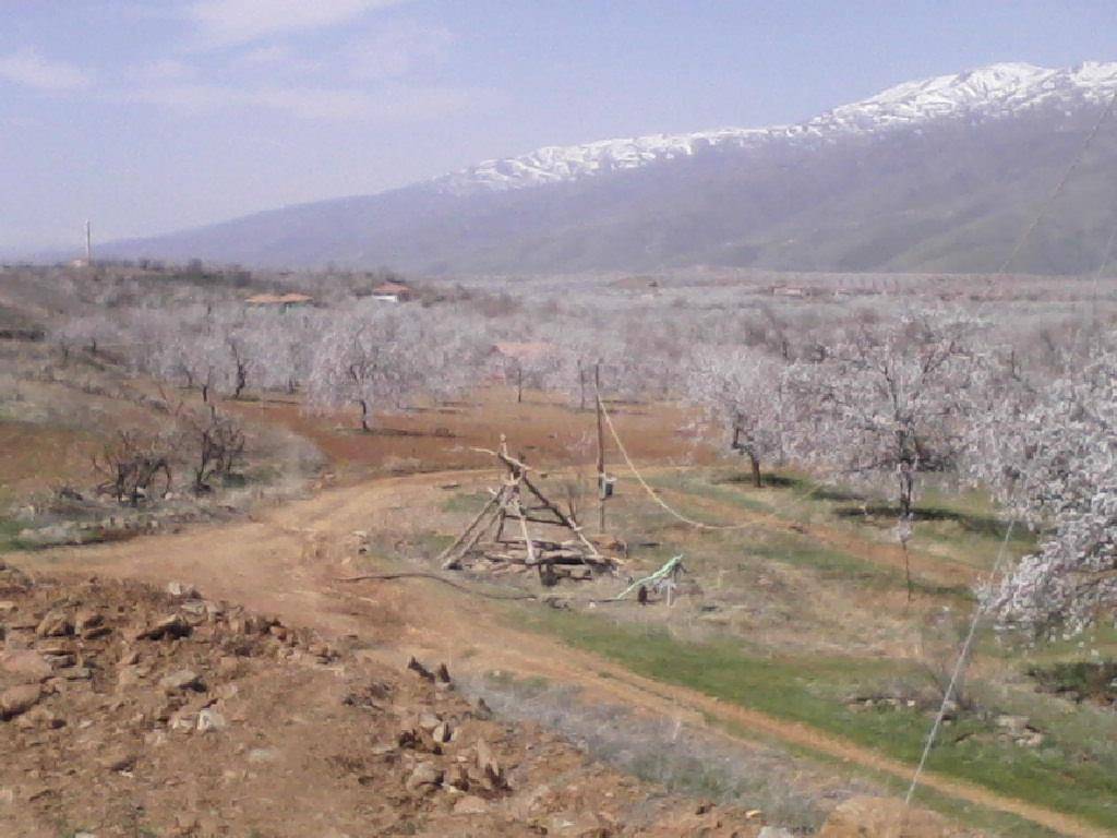 Doğanyol Koldere Köyü Resimleri 6