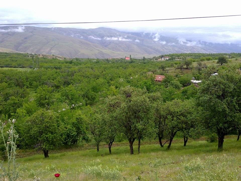 Doğanyol Koldere Köyü Resimleri 8