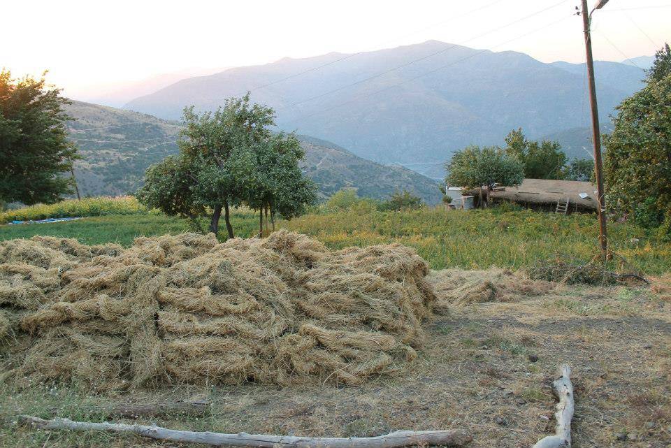 Doğanyol Poyraz Köyü Resimleri 1