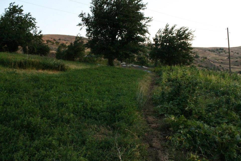 Doğanyol Poyraz Köyü Resimleri 5