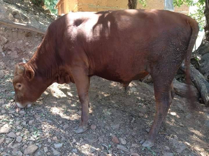 Doğanyol Ulutaş Köyü Resimleri 3