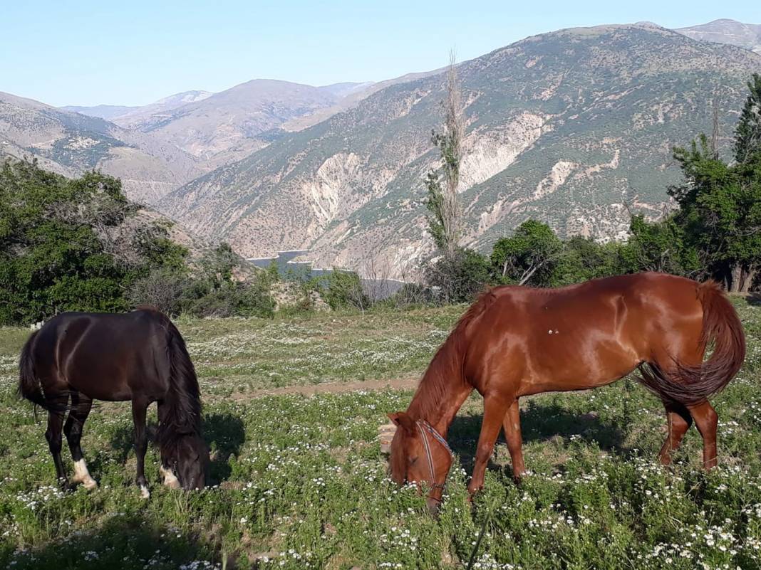 Doğanyol Yalınca Köyü Resimleri 6