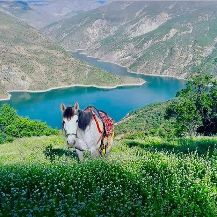 Doğanyol Yalınca Köyü Resimleri 7