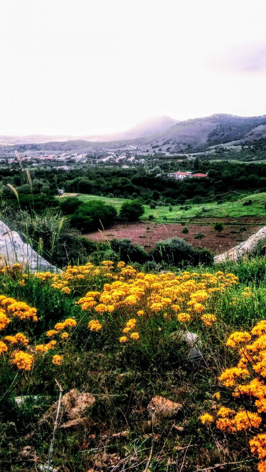 Hekimhan Ballıkaya Köyü Resimleri 3