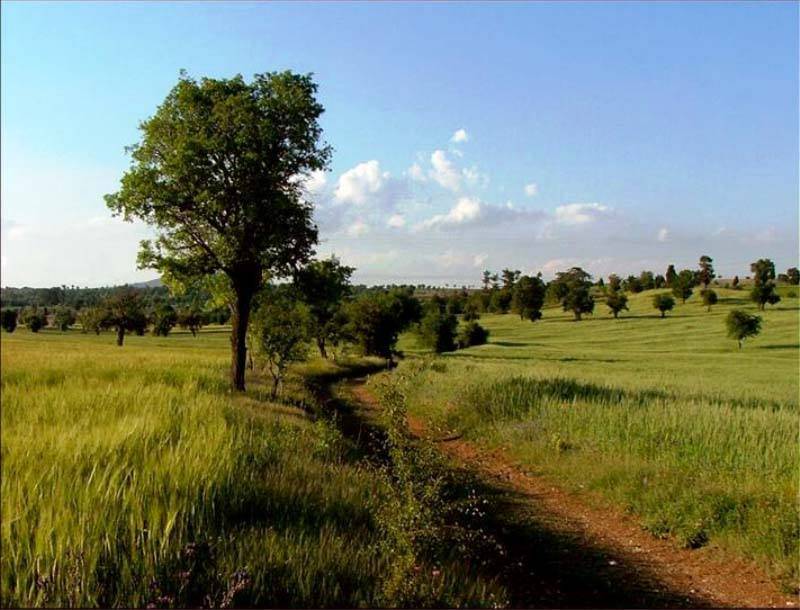 Emet Bahatlar Köyü Resimleri 1