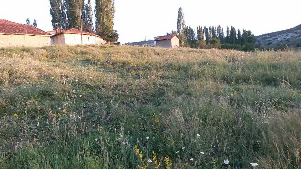 Emet Kalfalar Köyü Resimleri 8