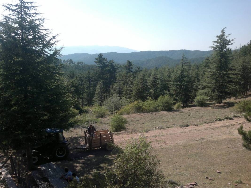 Emet Katrandağı Köyü Resimleri 3