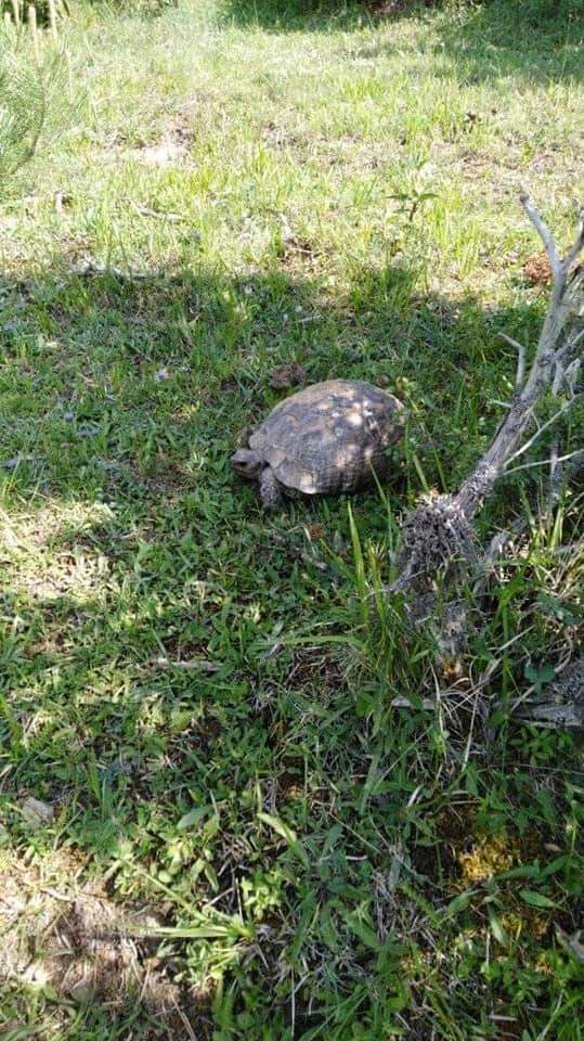 Emet Kayı Köyü Resimleri 3