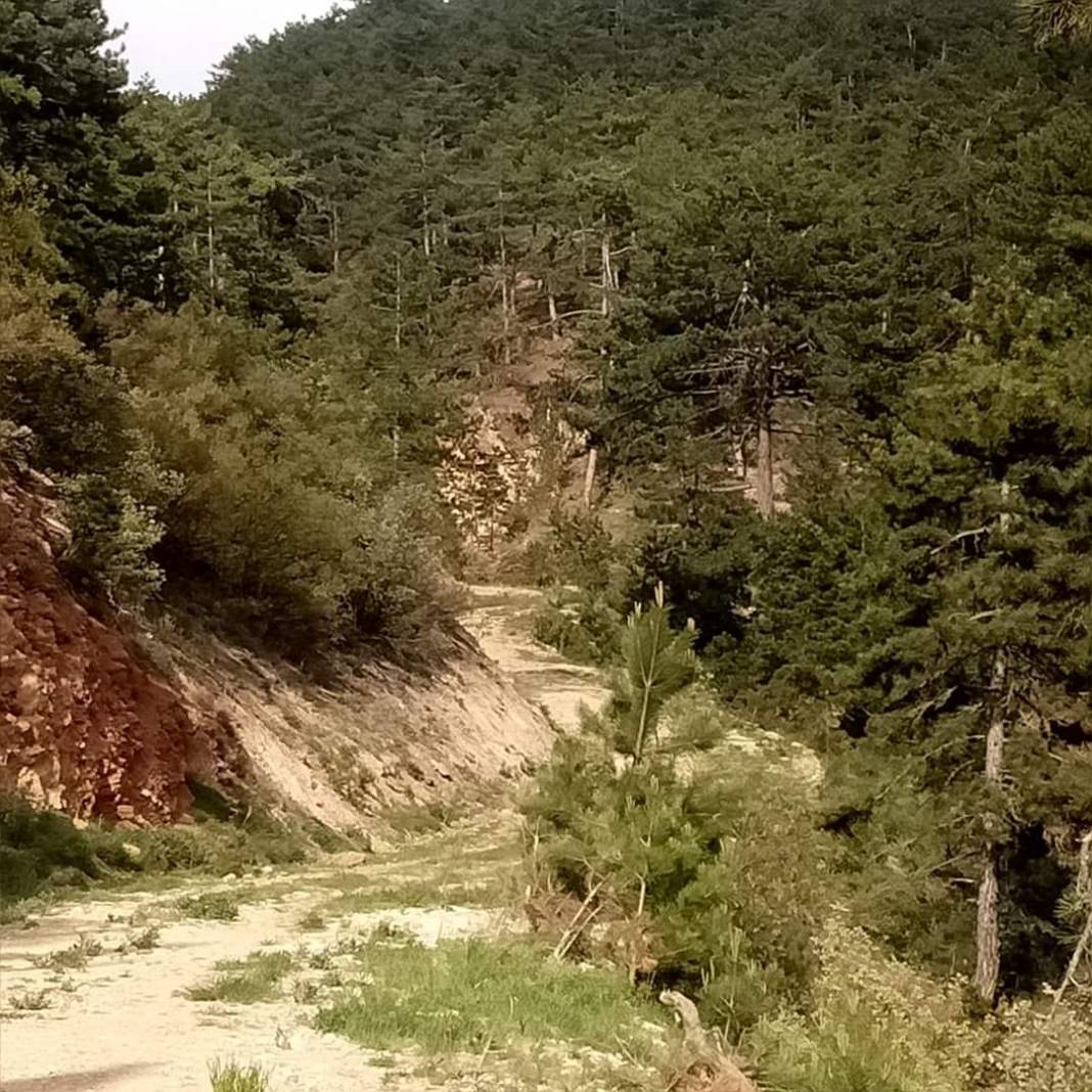 Emet Kırgıl Köyü Resimleri 3