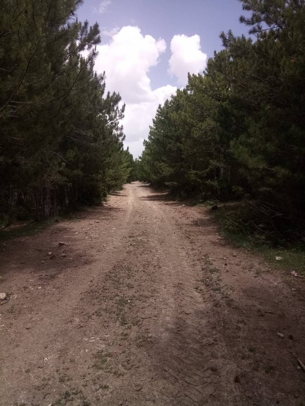 Emet Kırgıl Köyü Resimleri 9