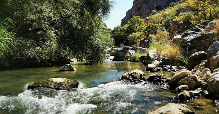 Emet Musalar Köyü Resimleri 3