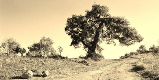 Akhisar Kavakalan Köyü Resimleri 2