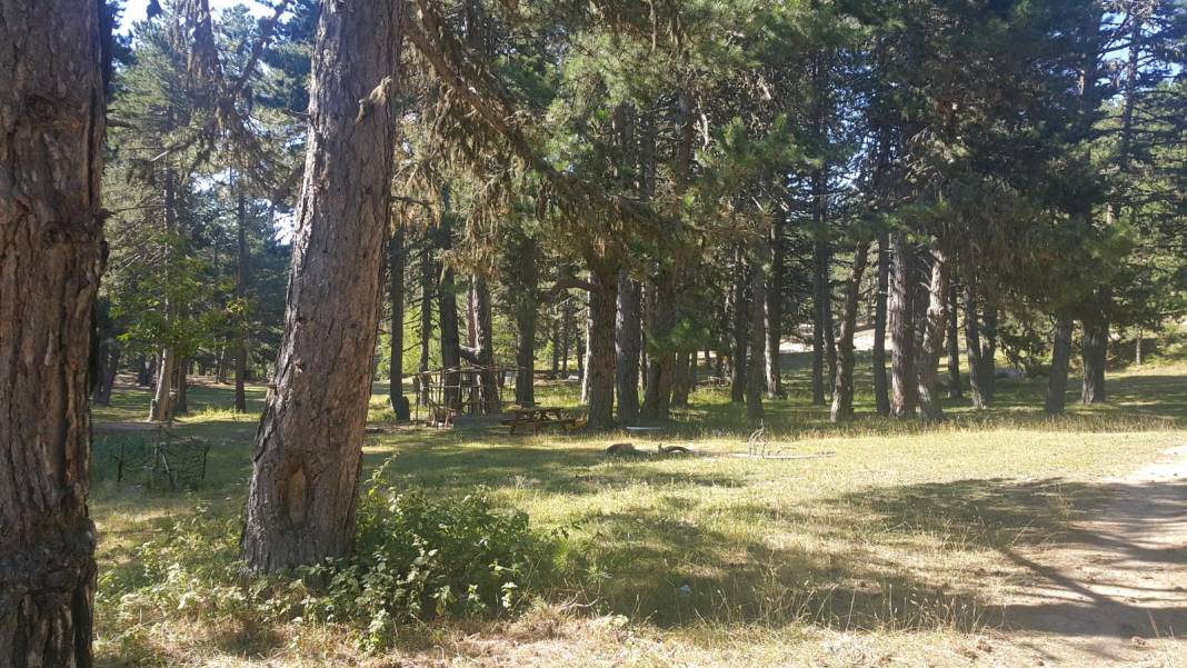 Emet Umutlu Köyü Resimleri 6