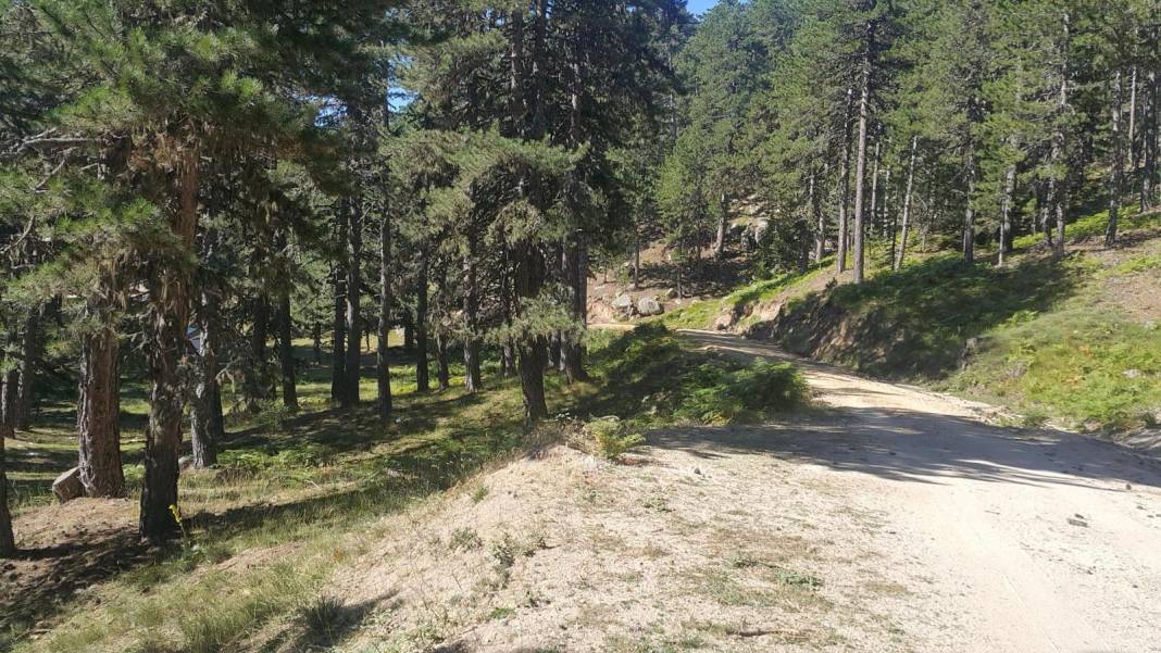 Emet Umutlu Köyü Resimleri 7