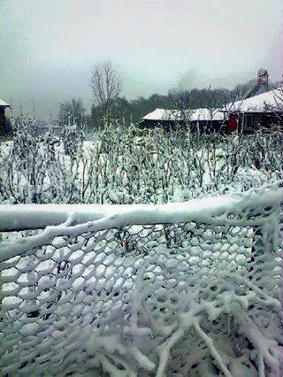 Emet Yarış Köyü Resimleri 3