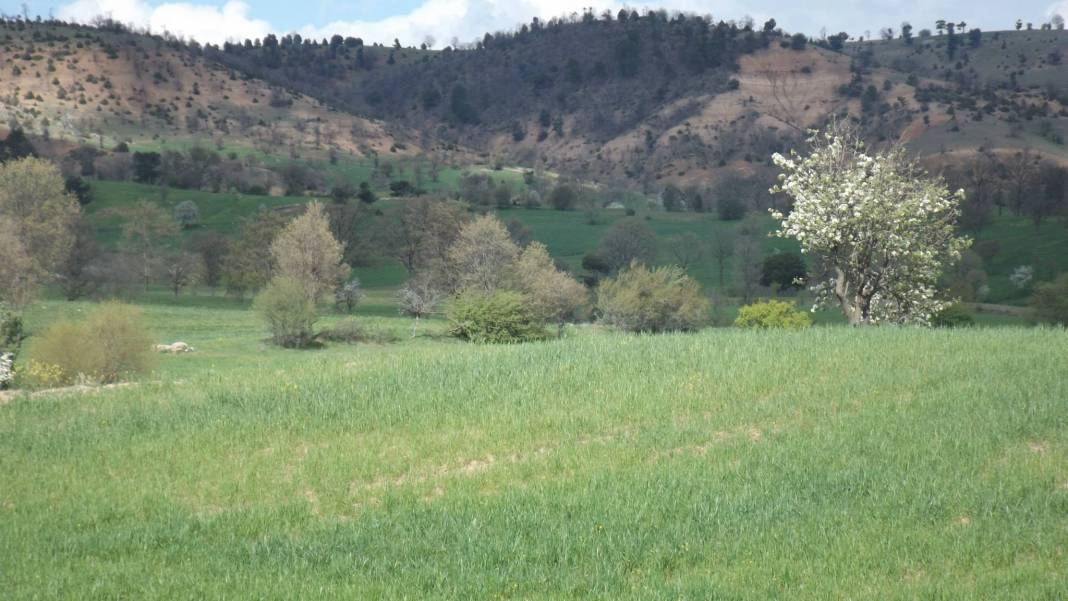Gediz Akkaya Köyü Resimleri 3