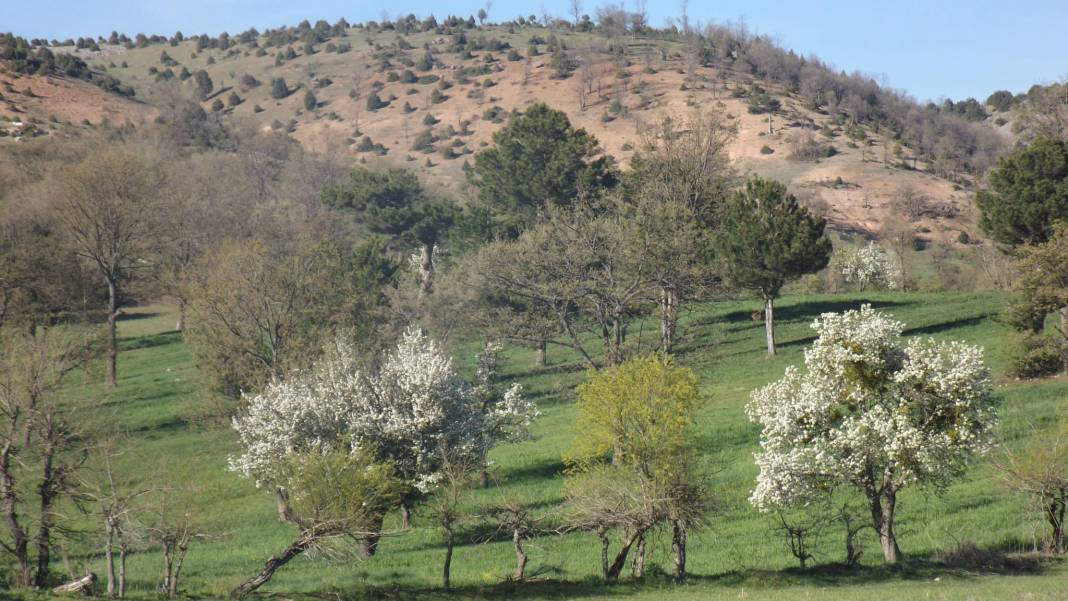 Gediz Akkaya Köyü Resimleri 4