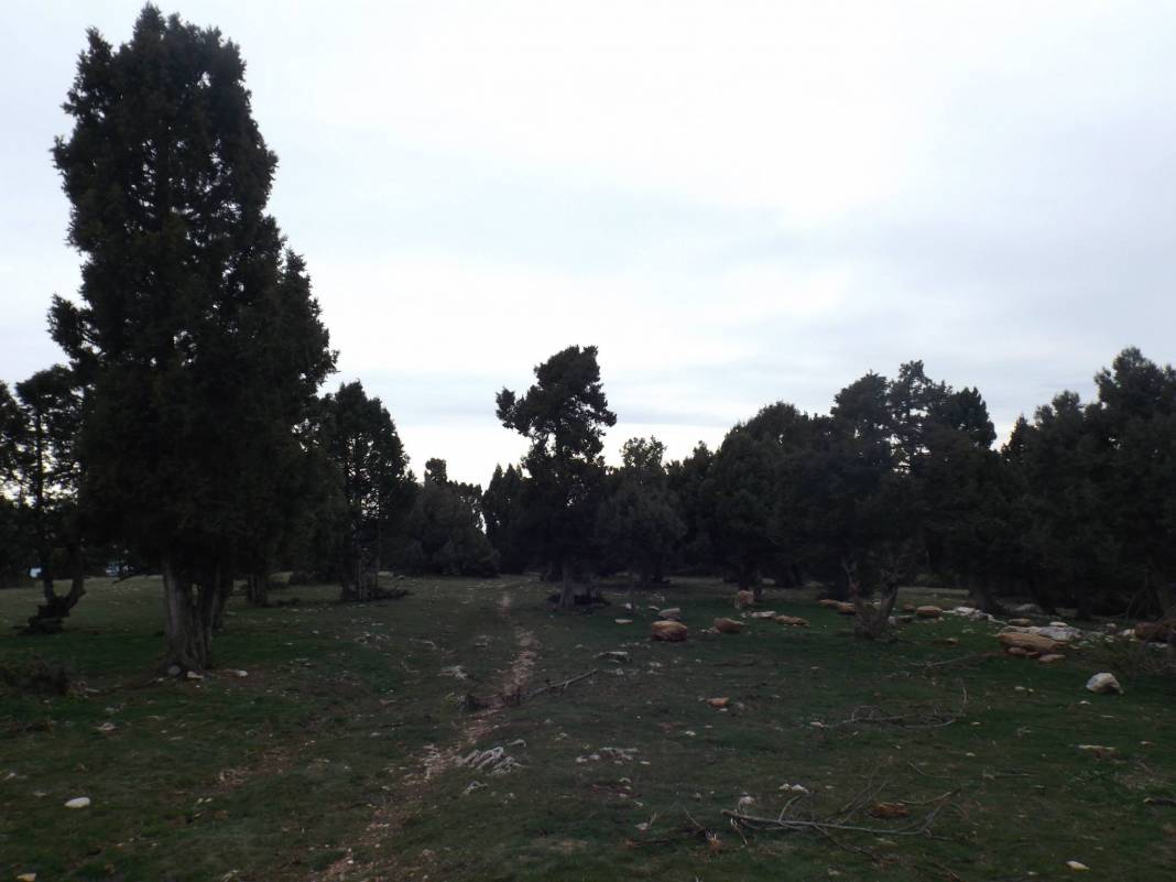 Gediz Akkaya Köyü Resimleri 5