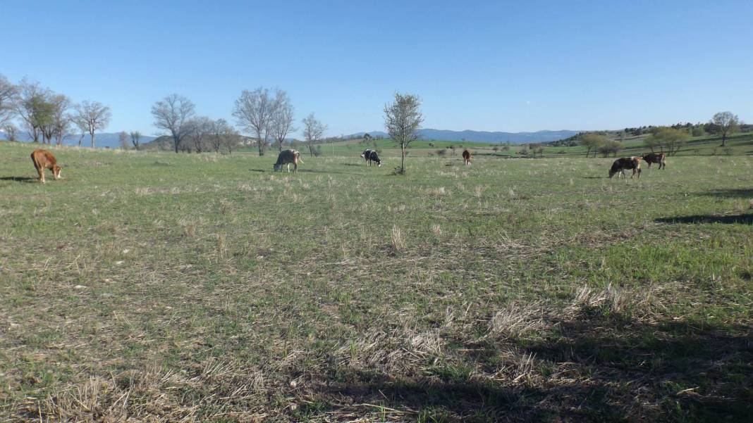 Gediz Akkaya Köyü Resimleri 6