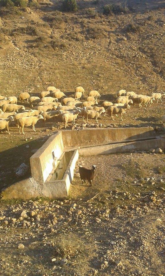 Gediz Akkaya Köyü Resimleri 7