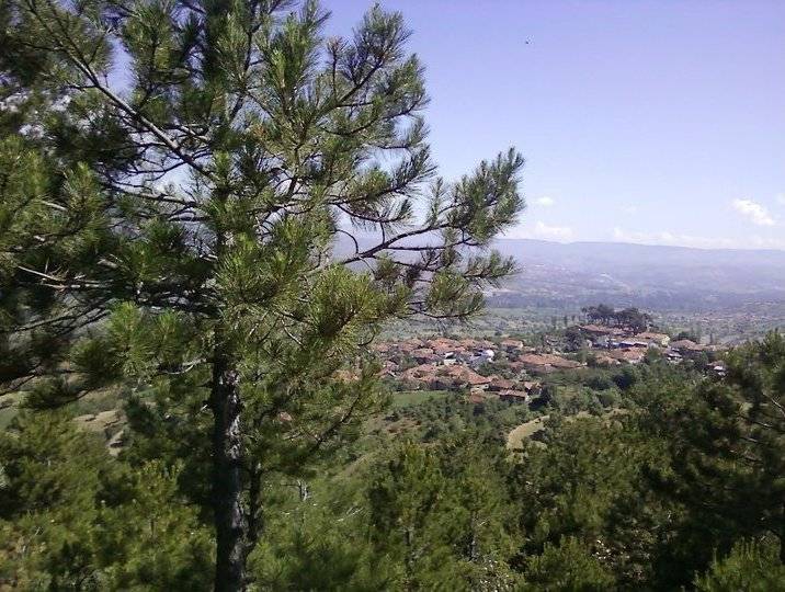 Gediz Aksaklar Köyü Resimleri 1