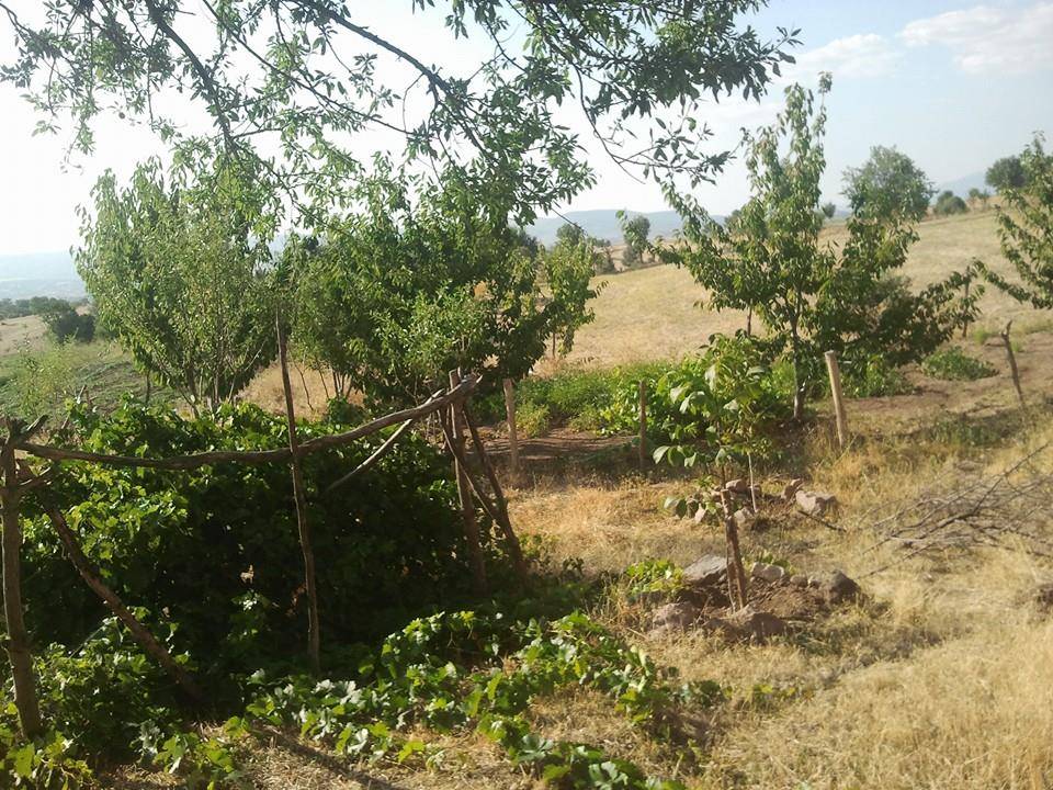 Gediz Alikahya Köyü Resimleri 2