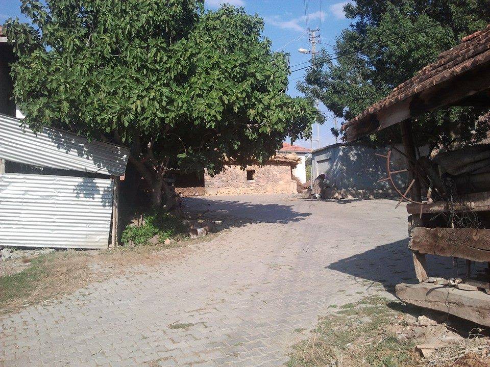 Gediz Alikahya Köyü Resimleri 3