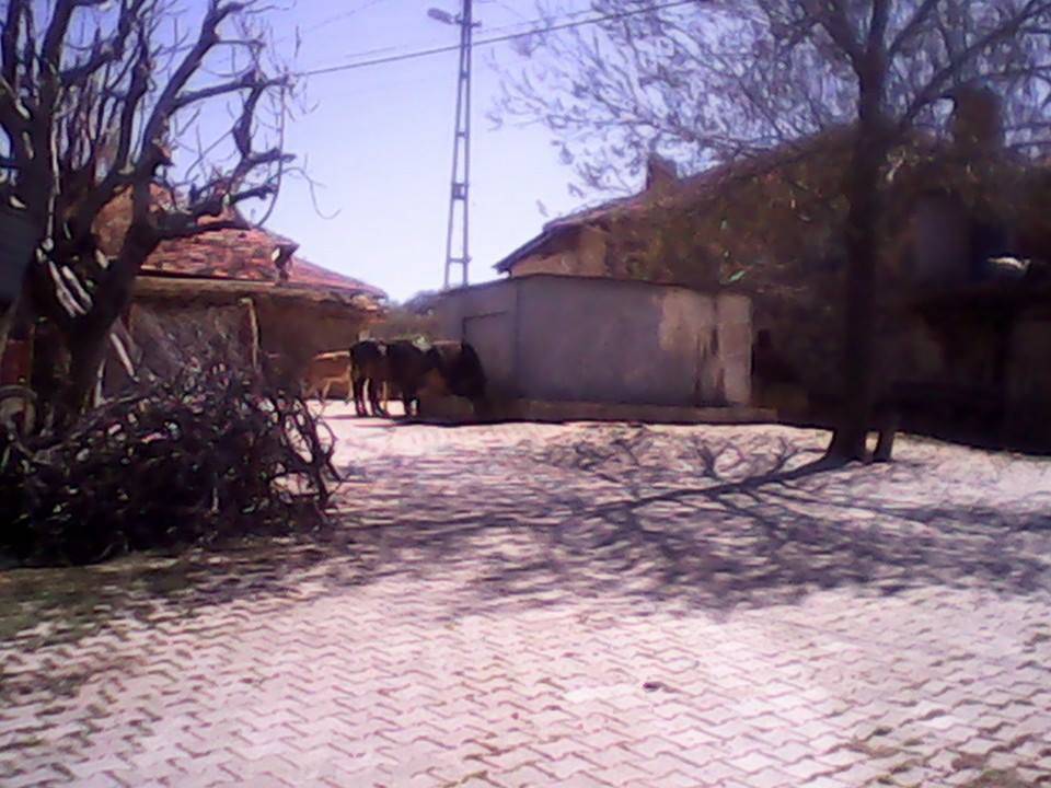 Gediz Alikahya Köyü Resimleri 5