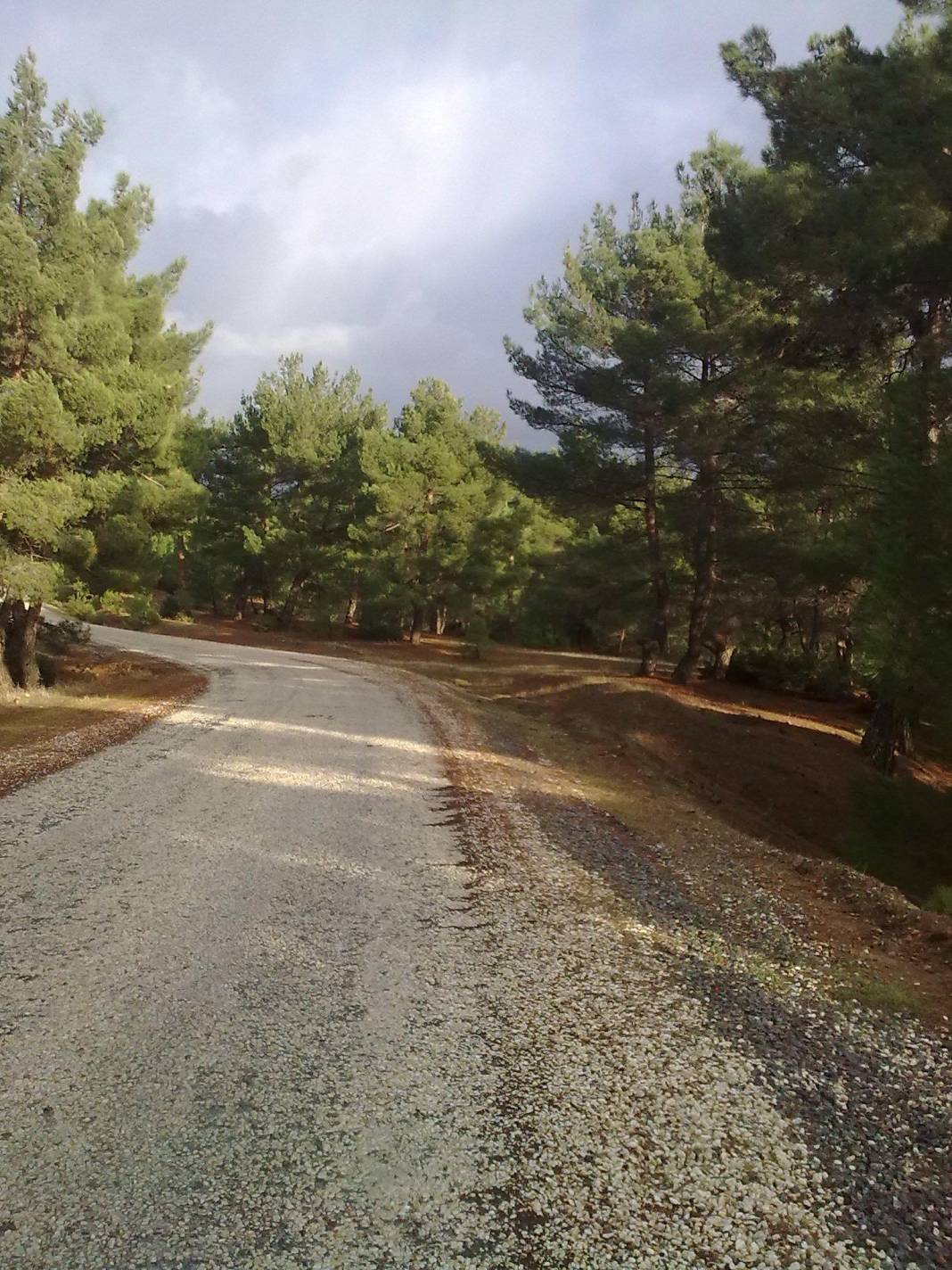 Gediz Alikahya Köyü Resimleri 7