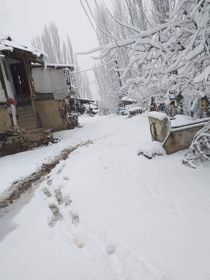 Gediz Arıca Köyü Resimleri 1