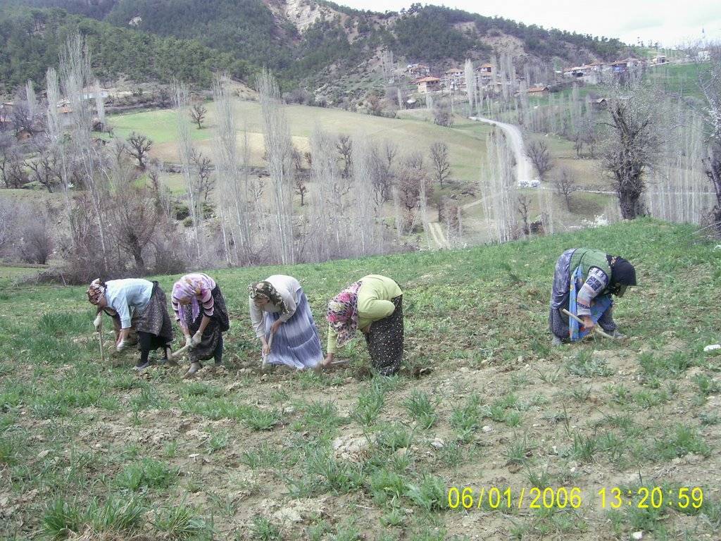 Gediz Arıca Köyü Resimleri 2