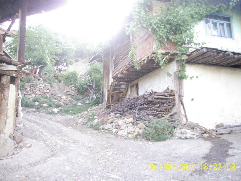 Gediz Arıca Köyü Resimleri 3