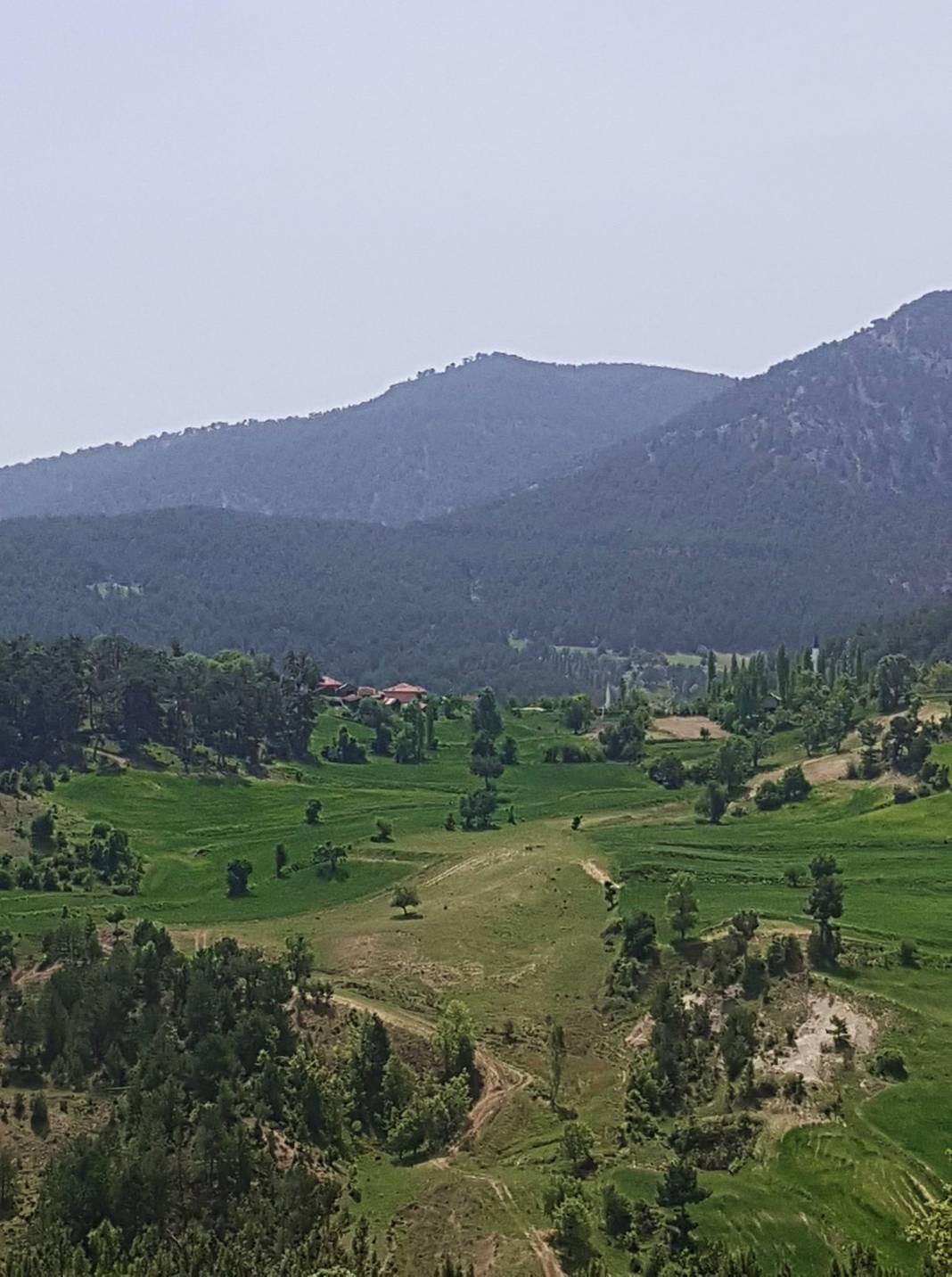 Gediz Arıca Köyü Resimleri 4