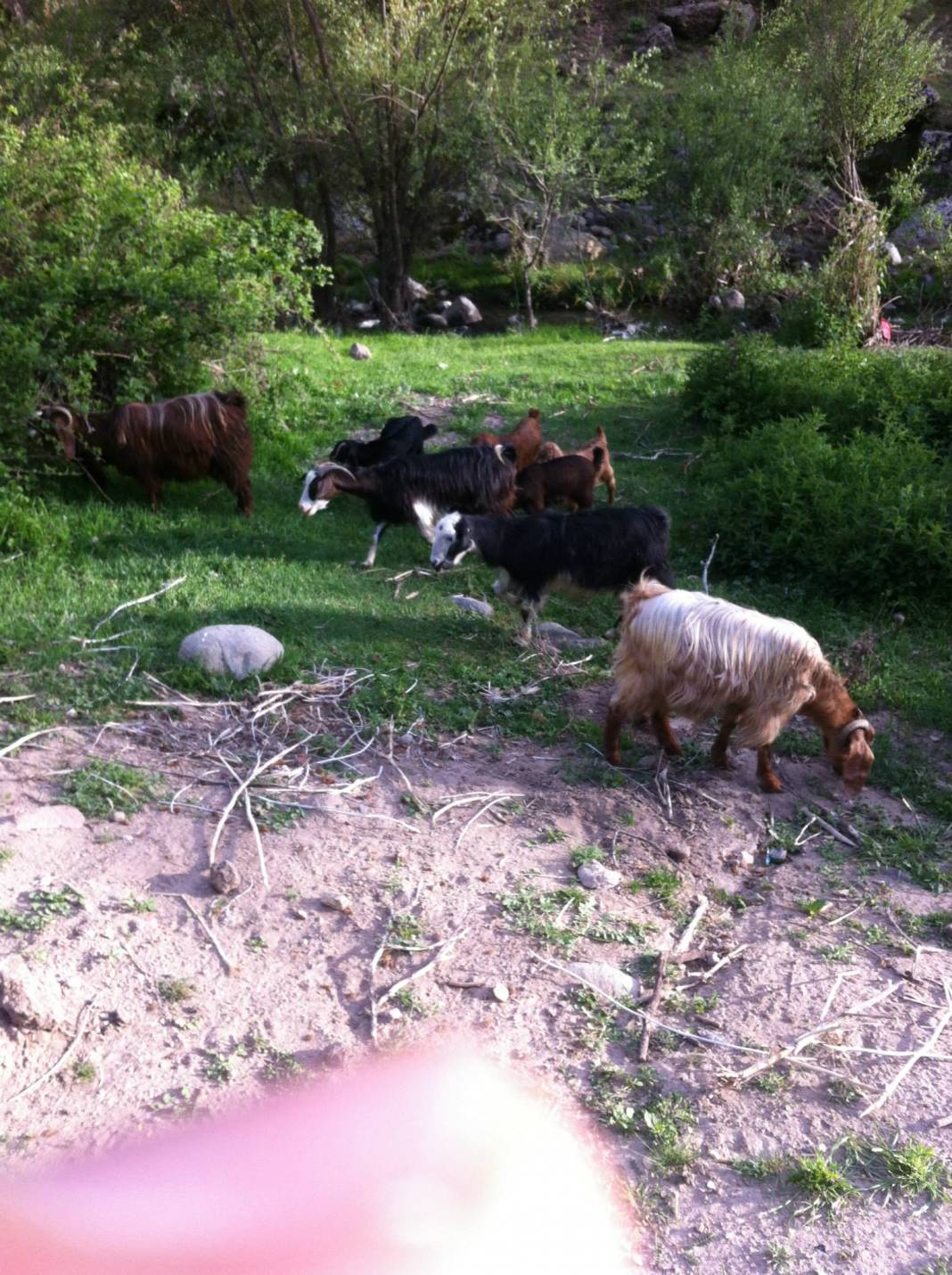 Gediz Çomaklar Köyü Resimleri 2