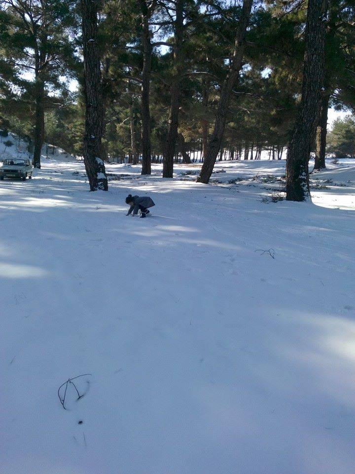 Gediz Dedeköy Köyü Resimleri 3