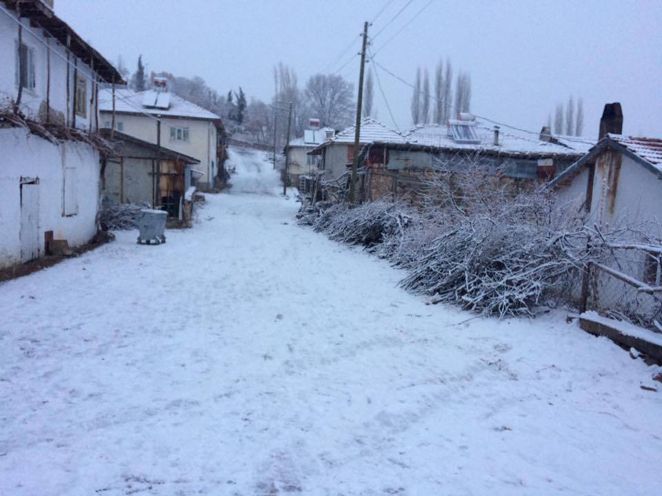 Gediz Ece Köyü Resimleri 5