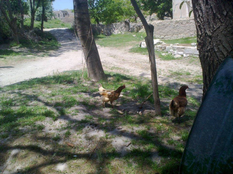 Gediz Göynük Köyü Resimleri 1