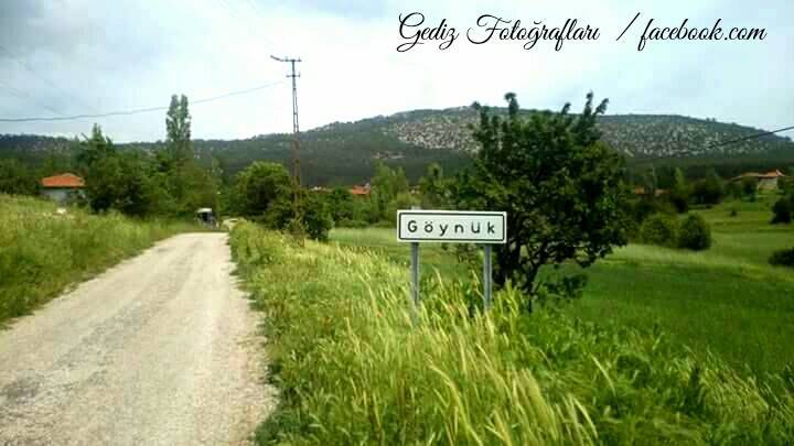 Gediz Göynük Köyü Resimleri 3