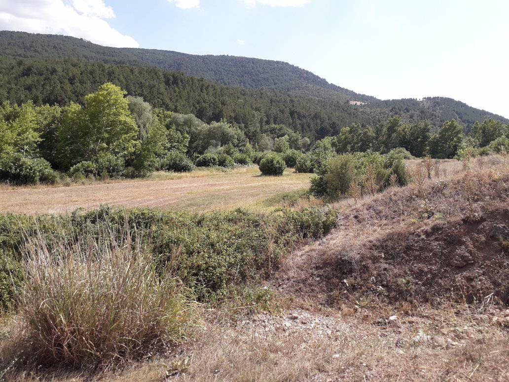 Gediz Göynük Köyü Resimleri 6