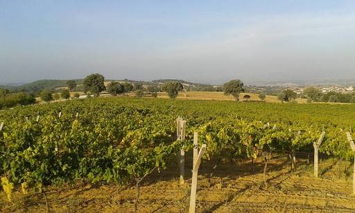 Gediz Göynükören Köyü Resimleri 1