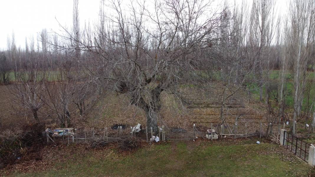 Gediz Gümüşlü Köyü Resimleri 6