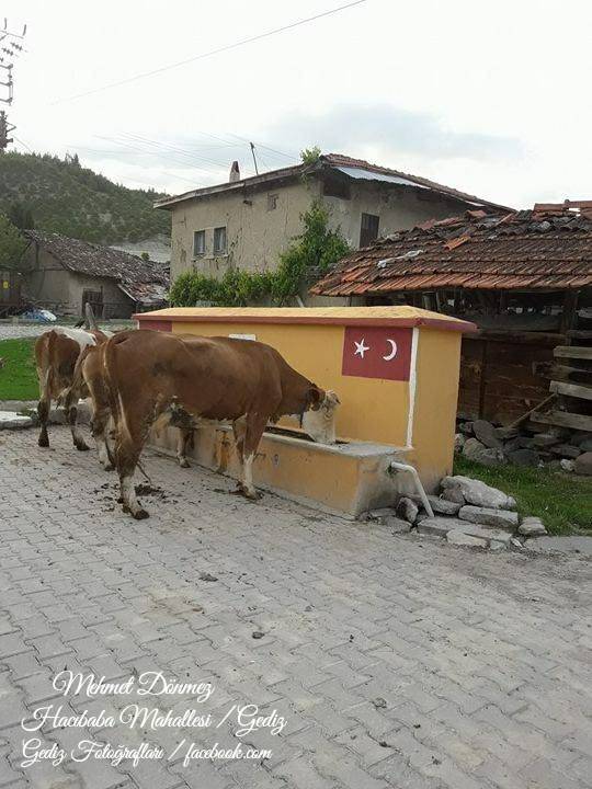Gediz Hacıbaba Köyü Resimleri 2