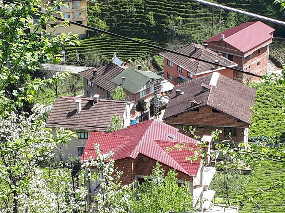 Güneysu Ortaköy Köyü Resimleri 11