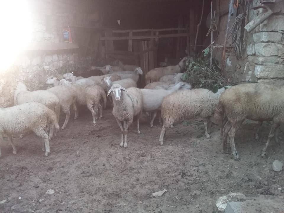 Gediz Işıklar Köyü Resimleri 3