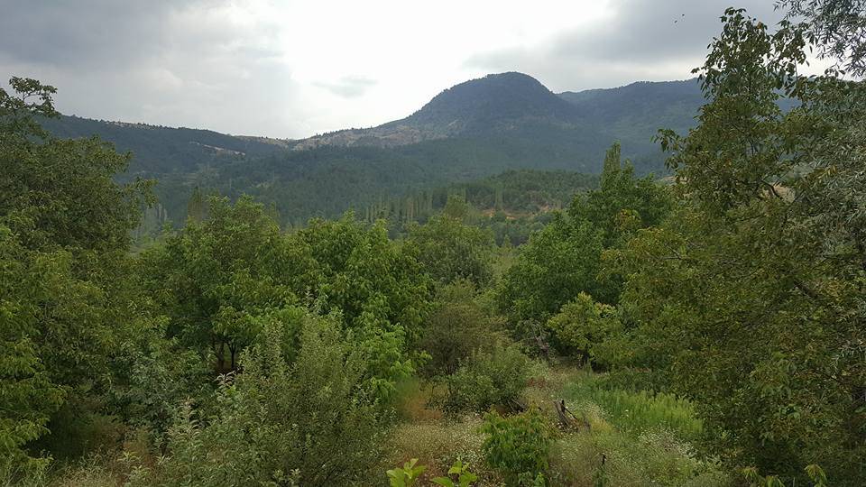 Gediz Kıran Köyü Resimleri 3