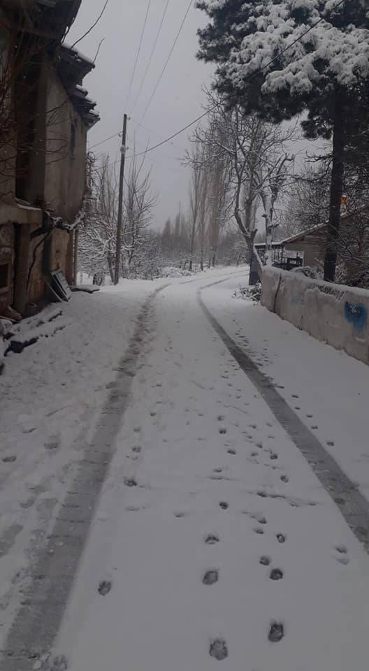 Gediz Pınarbaşı Köyü Resimleri 2